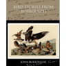 Bird Stories from Burroughs