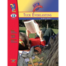 Tuck Everlasting, by Natalie Babbitt Lit Link Grades 4-6