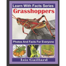 Grasshoppers Photos and Facts for Everyone: Animals in Nature