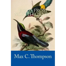 Birds from North Borneo