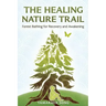 The Healing Nature Trail: Forest Bathing for Recovery and Awakening