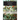 The History of Creation, Volume One