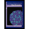 The Proton