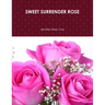 Sweet Surrender Rose