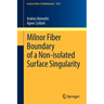 Milnor Fiber Boundary of a Non-Isolated Surface Singularity