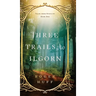 Three Trails to Ilgorn