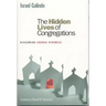 The Hidden Lives of Congregations: Discerning Church Dynamics