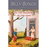 In the Shadow of the Lynx (Billy Bones, #2)