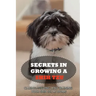 Secrets In Growing A Shih Tzu: Caring, Feeding And Training Your Shih Tzu At Home: Tips For Shih Tzu Owners