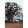 Baobab
