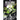 Dead Song Legend Dodecology Book 5: May