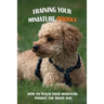 Training Your Miniature Poodle: How To Teach Your Miniature Poodle The Right Way: Basic Training For Miniature Poodle Breed