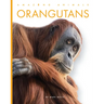 Orangutans