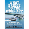 What Bridge Do You Work At?: Or, Kids Are Cute; Therefore, Open Borders