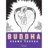 Buddha 6: Ananda