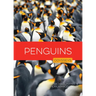 Penguins