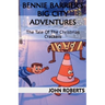 Bennie Barrier's Big City Adventures; The Tale Of The Christmas Crackers