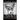 Basenji Dog, Basenji Training Book for Basenji Dogs & Puppies By D!G THIS DOG Training, From the Car Ride Home Training Begins, Basenji Book
