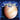 The Venus File