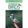 Common Birds of the Indian Subcontinent
