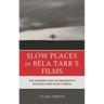 Slow Places in Béla Tarr's Films: The Intersection of Geography, Ecology, and Slow Cinema