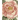 John Derian Picture Book II