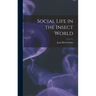 Social Life in the Insect World