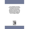 Laws of Michigan Concerning the organization and Government of townships, and the Powers and Duties of township officers, and Boards of Supervisors. W