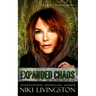 Expanded Chaos: A Dystopian Fantasy Adventure