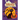 Halloween Activity Book: For kids 7 to 12