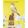 HIS Eye is on the Sparrow: A Devotional Inspired by Nature: Volume 2