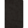 Large Print Bible-ESV