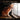 A Cat's Journey To Your Soul