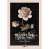 Plant Lore, Legends & Lyrics