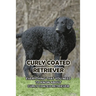 Curly Coated Retriever: Everything That You Need to Know About Curly Coated Retriever: How Well You Know ABout Curly Coated Retriever?