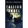Falling Angel