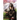 Scarlet Oath