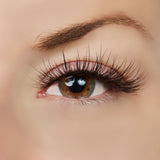 Halo Effect Lash Style by True Beauty Lashes