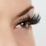 As You Were Saying? Lash Style by True Beauty Lashes