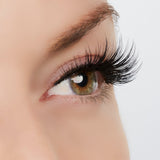 Woman of Worth (WOW!) Lash Style by True Beauty Lashes