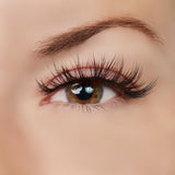 Heart of Gold Lash Style by True Beauty Lashes