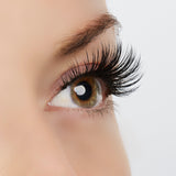 Timeless Beauty Lash Style by True Beauty Lashes