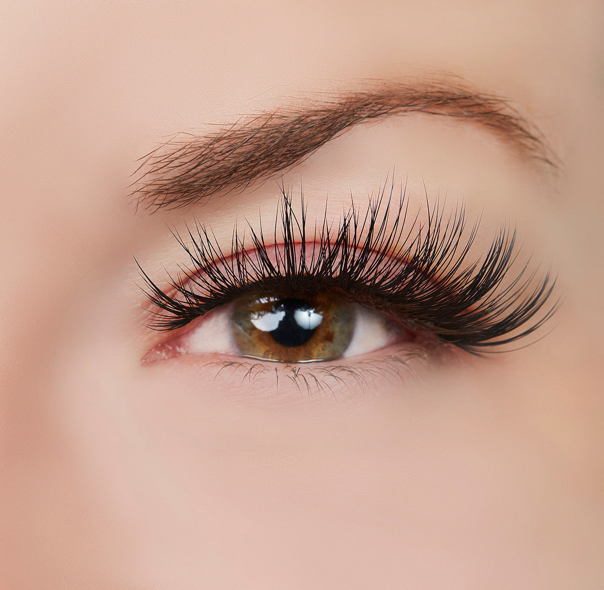 Positively Captivating Lash Style by True Beauty Lashes