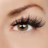 Original Inspo Lash Style by True Beauty Lashes