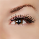 Sexy Classy Lash Style by True Beauty Lashes