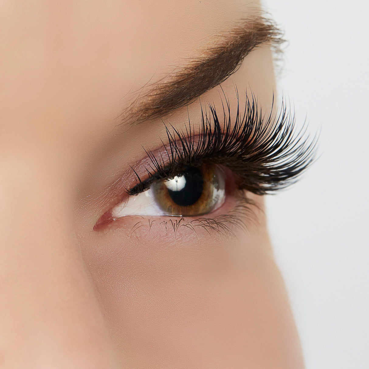 Wait for It Lash Style by True Beauty Lashes