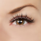 Wait for It Lash Style by True Beauty Lashes