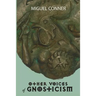 Other Voices of Gnosticism: Interviews with leading writers and scholars including Tobias Churton, Nicola Denzey-Lewis, Richard Smoley, Gary Lachm