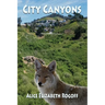 City Canyons