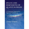 Spaces and Dimensions of Quantum Fields: A Conceptual Approach to Quantum Field Theory